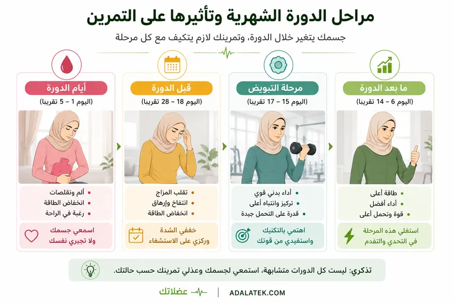مخطط يوضح مراحل الدورة الشهرية وتأثيرها على الطاقة والأداء والاستشفاء أثناء التمرين للبنات