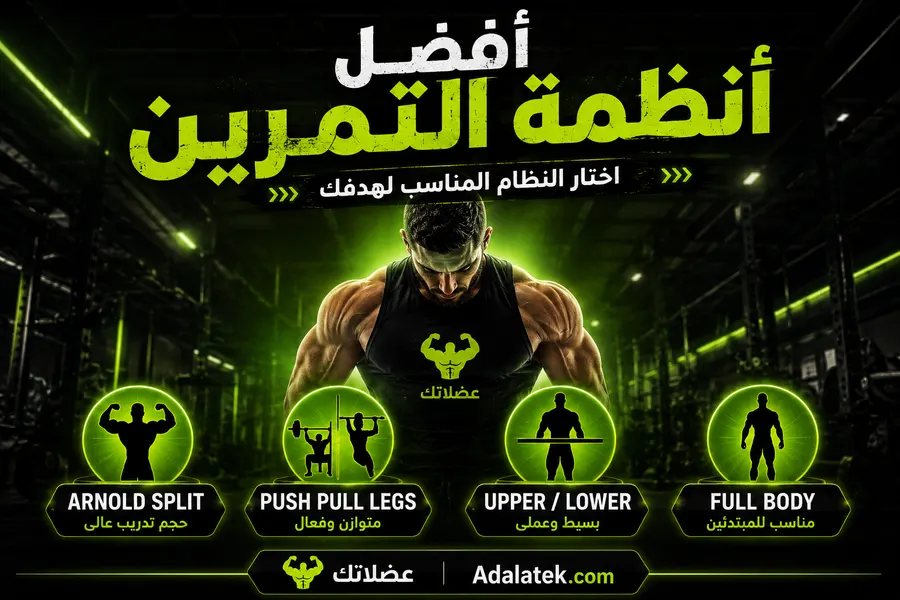 أفضل أنظمة التمرين في الجيم: إزاي تختار جدولك؟ (Arnold, PPL,UL)