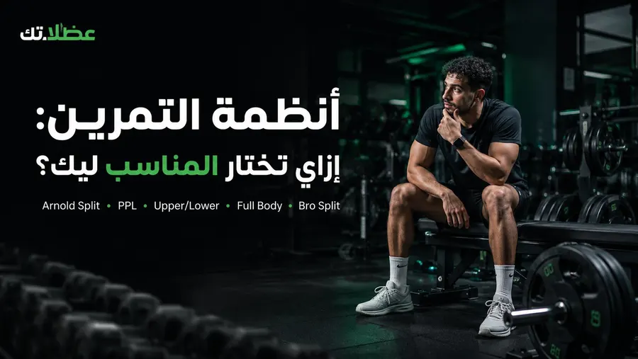أفضل أنظمة التمرين في الجيم: إزاي تختار جدولك المناسب؟