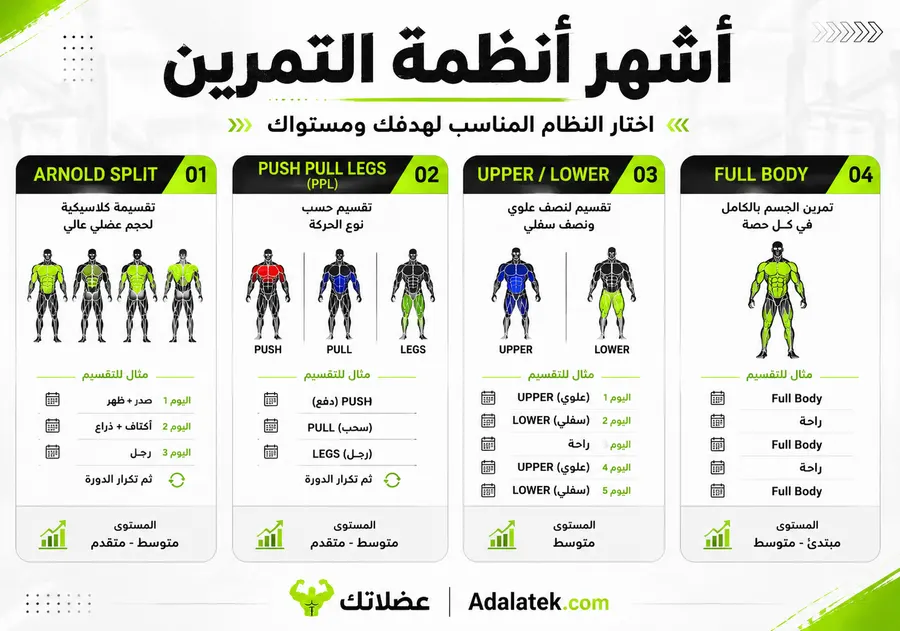 إنفوجرافيك تعليمي يوضح أشهر أنظمة التمرين في الجيم مثل Arnold Split و Push Pull Legs و Upper Lower و Full Body