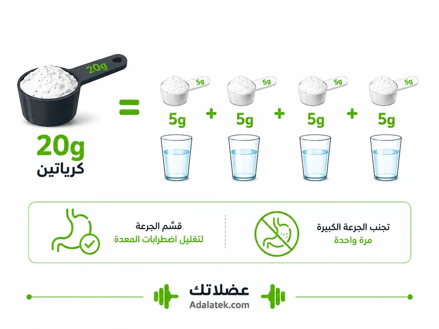 إنفوجرافيك تعليمي يوضح كيفية تقسيم جرعات الكرياتين على مدار اليوم لتجنب اضطرابات المعدة والمغص.
