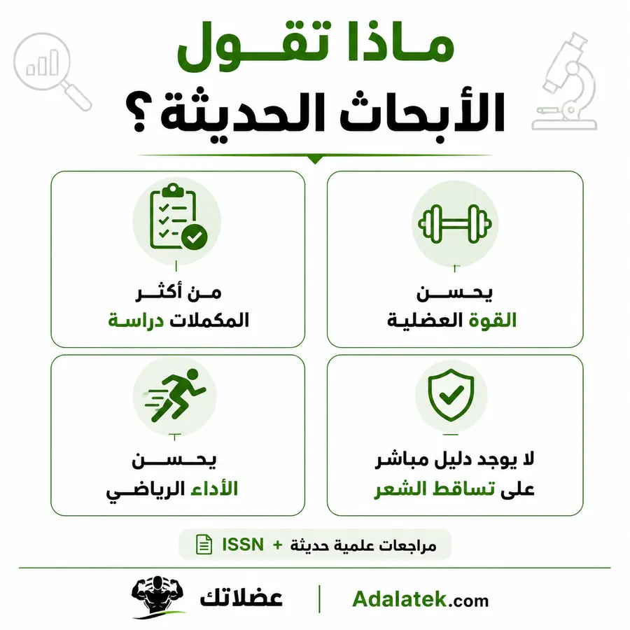 صورة تعليمية توضح نتائج الأبحاث الحديثة حول الكرياتين وتأثيره على القوة والأداء وعدم وجود دليل مباشر على تساقط الشعر