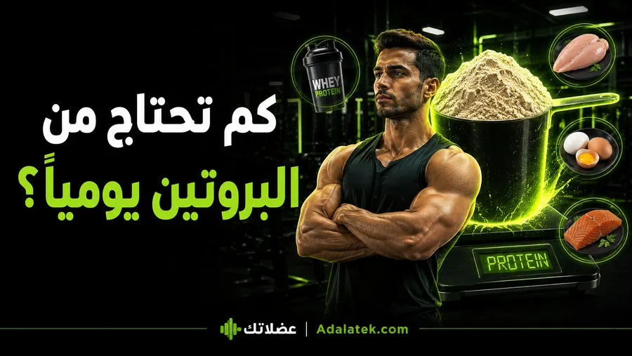 كم تحتاج من البروتين يوميًا؟ حسب وزنك وهدفك الرياضي