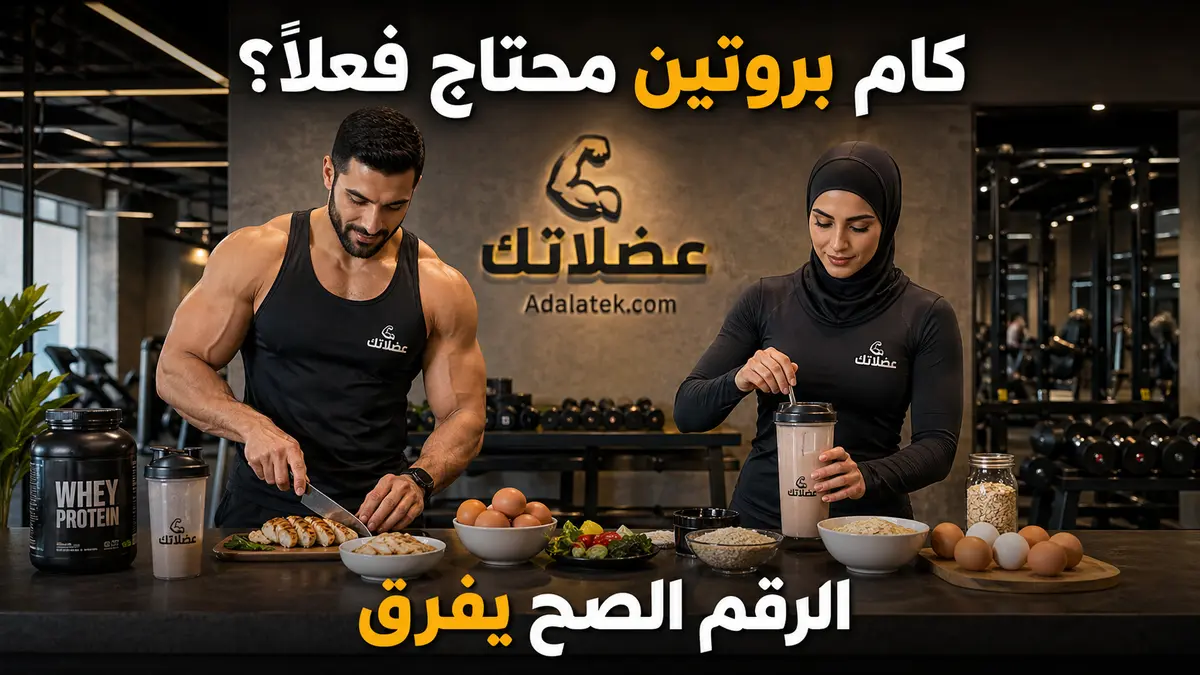 كم تحتاج من البروتين يوميًا؟ الدليل العلمي لبناء العضلات وحرق الدهون