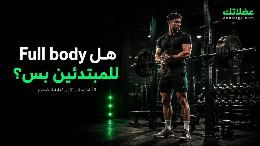 جدول تمارين فل بودي (Full Body) للتضخيم