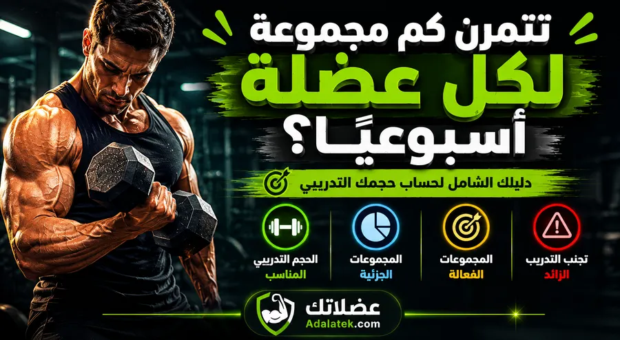 تتمرن كم مجموعة لكل عضلة أسبوعيًا؟ | دليلك الشامل لحساب حجمك التدريبي