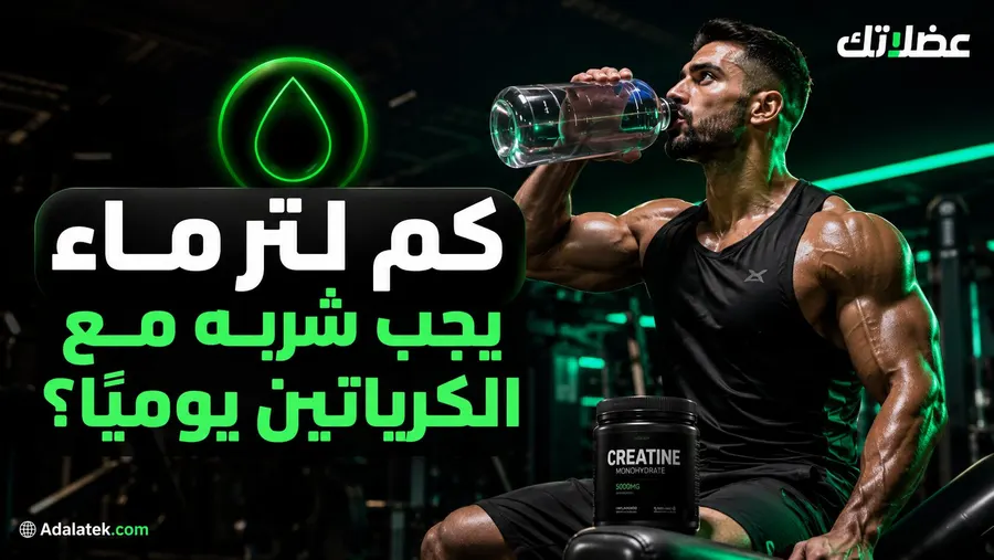 كم لتر ماء يجب شربه مع الكرياتين يوميًا؟ (الرقم العلمي)