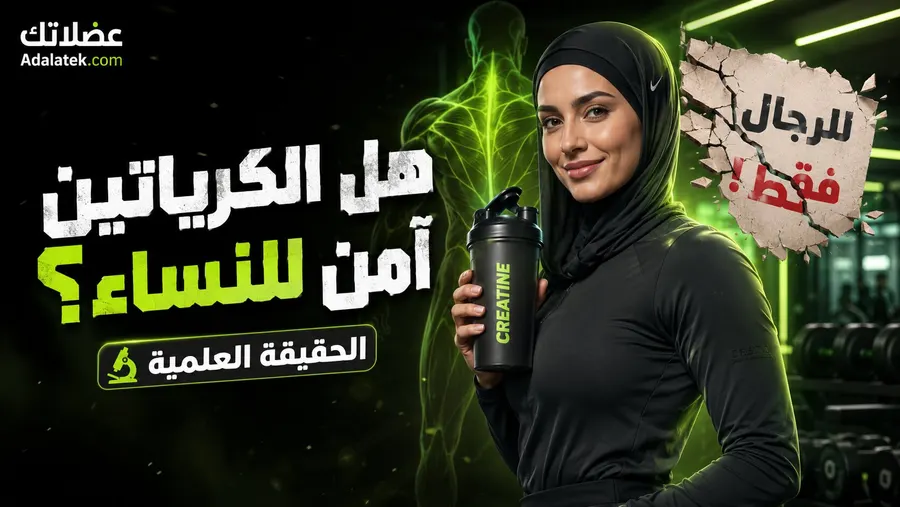 هل الكرياتين آمن للنساء؟ الحقيقة العلمية