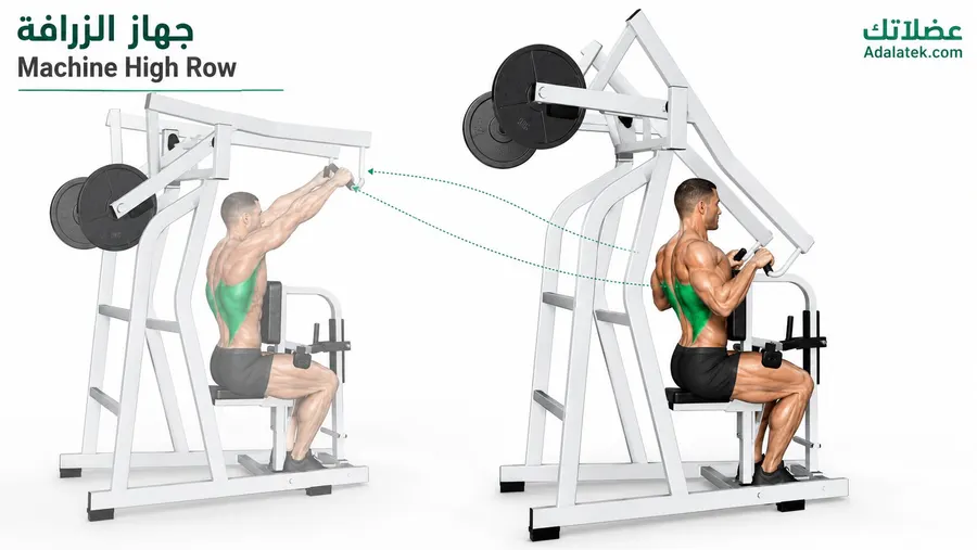 الأداء الصحيح لتمرين جهاز الزرافة (Machine High Row) مع توضيح مسار الحركة واستهداف عضلات الظهر، خاصة العضلة الظهرية العريضة (Latissimus Dorsi).