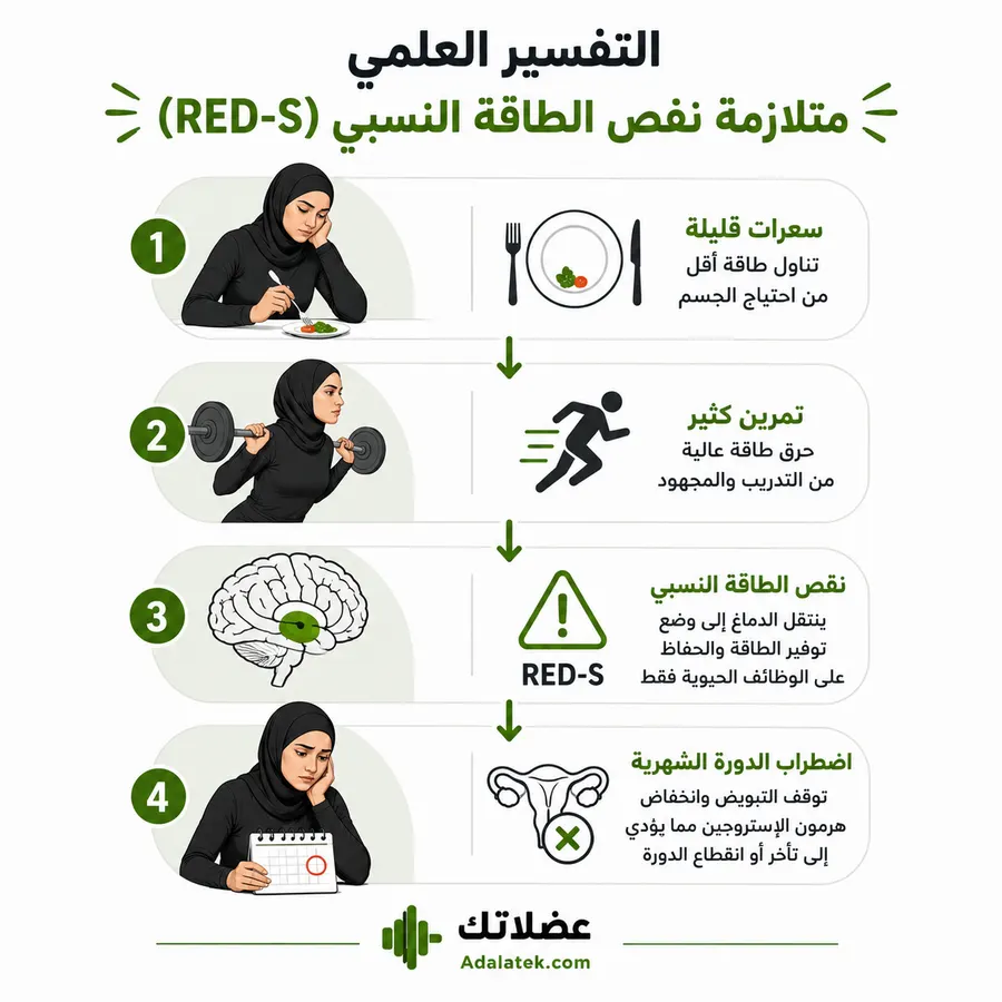 رسم توضيحي يشرح كيف يؤدي نقص الطاقة النسبي في الرياضة (RED-S) إلى اضطراب الدورة الشهرية لدى النساء الرياضيات
